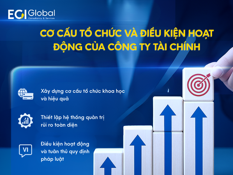 Cơ cấu tổ chức và điều kiện hoạt động của công ty tài chính