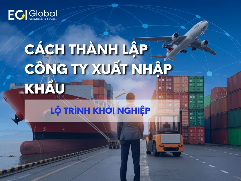 cach-thanh-lap-cong-ty-xuat-nhap-khau-thu-tuc-phap-ly-va-chi-phi-can-biet