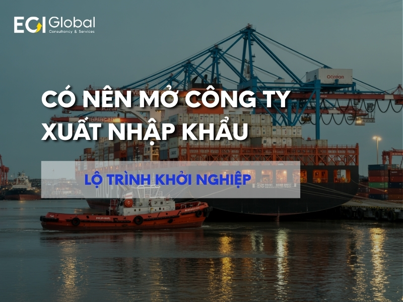 co-nen-mo-cong-ty-xuat-nhap-khau-nhung-dieu-quan-trong-nen-biet