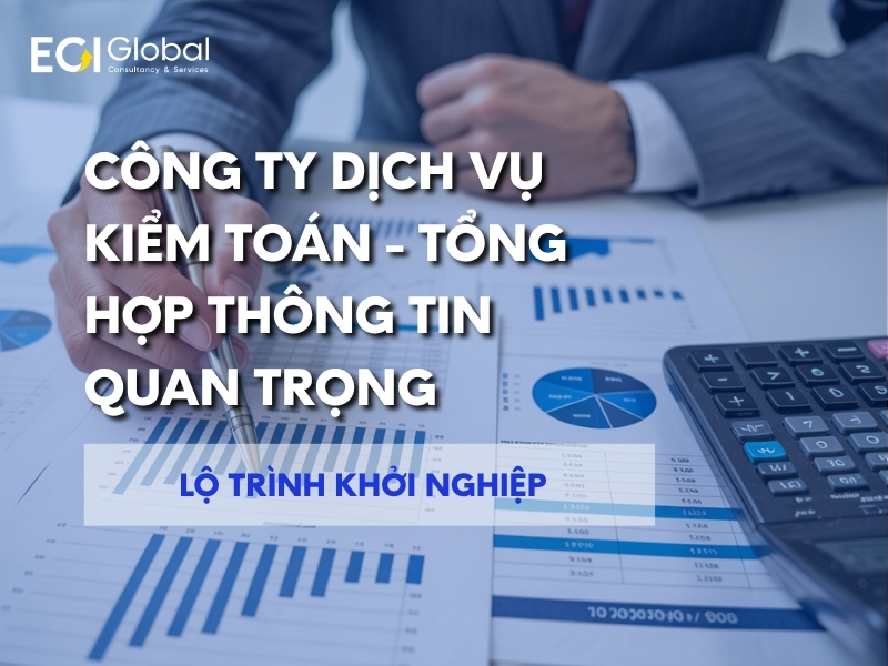 cong-ty-dich-vu-kiem-toan-tong-hop-thong-tin-quan-trong