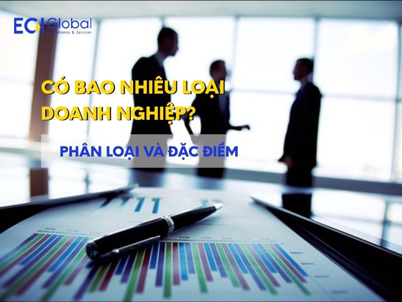 Có Bao Nhiêu Loại Doanh Nghiệp? Phân Loại Và Đặc Điểm