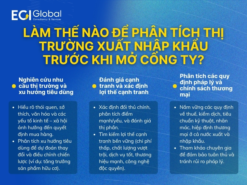 lam-the-nao-de-phan-tich-thi-truong-xuat-nhap-khau-truoc-khi-mo-cong-ty